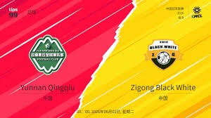 C罗年龄无碍 马尼切力挺其成为葡萄牙国家队核心